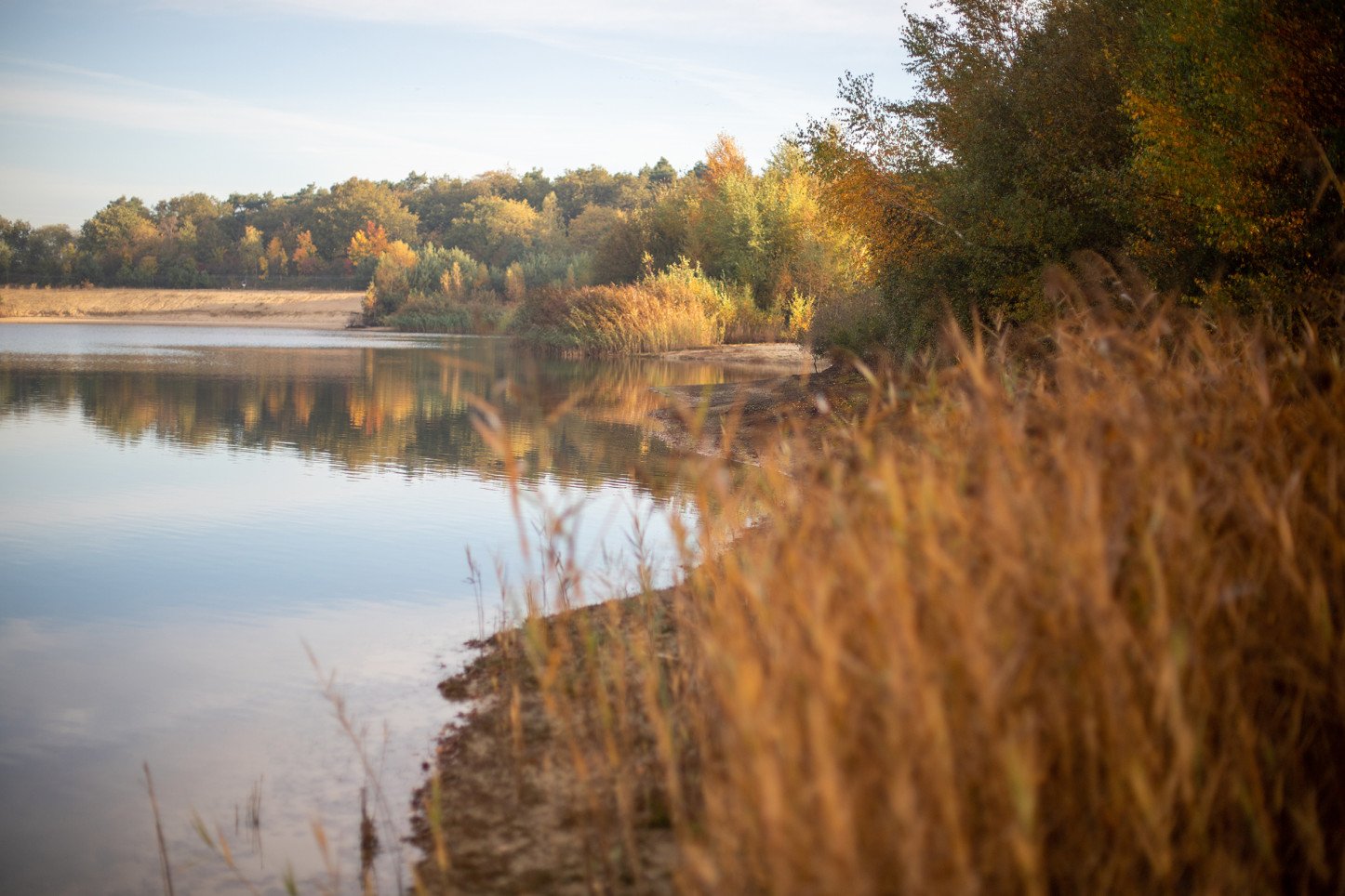 Herbst am Baggersee.