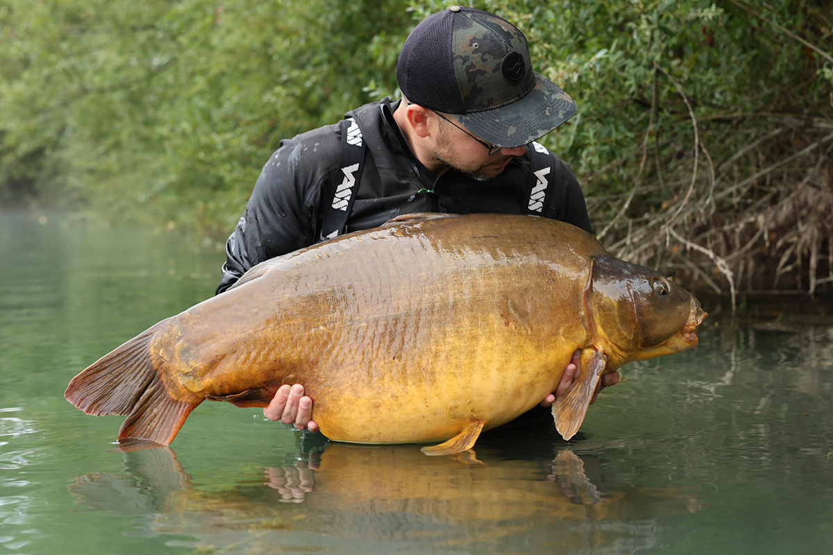 Nicht nur große, sondern auch schöne makellose Fische schwimmen im Gigantica. Philipp Romweber mit makellosem Spiegelkarpfen am Gigantica.