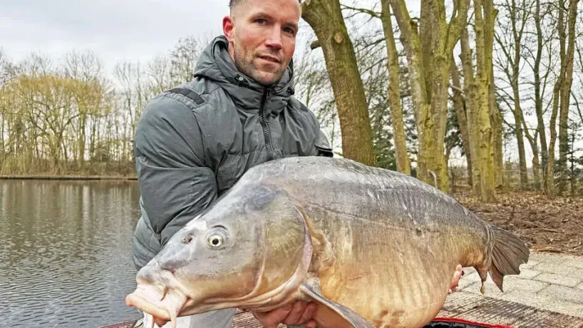 Großer Spiegelkarpfen aus dem Carp Lake Rosmalen von Angling Escapes.