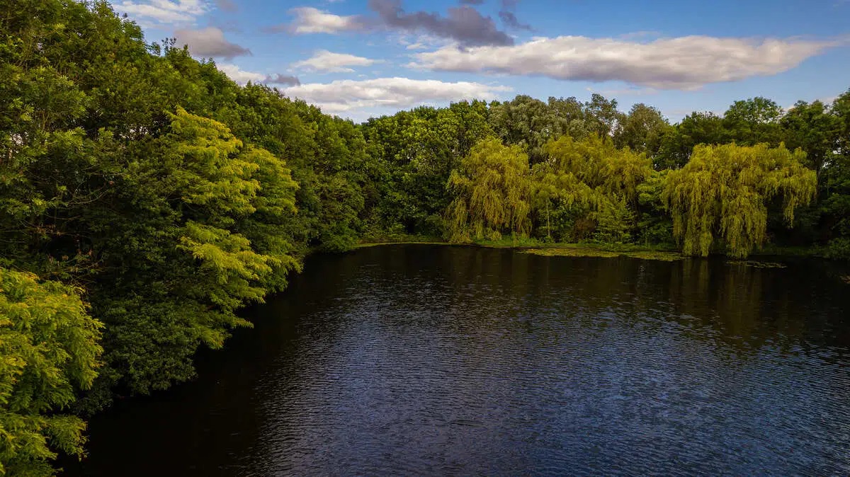carp-lake-rosmalen-drone