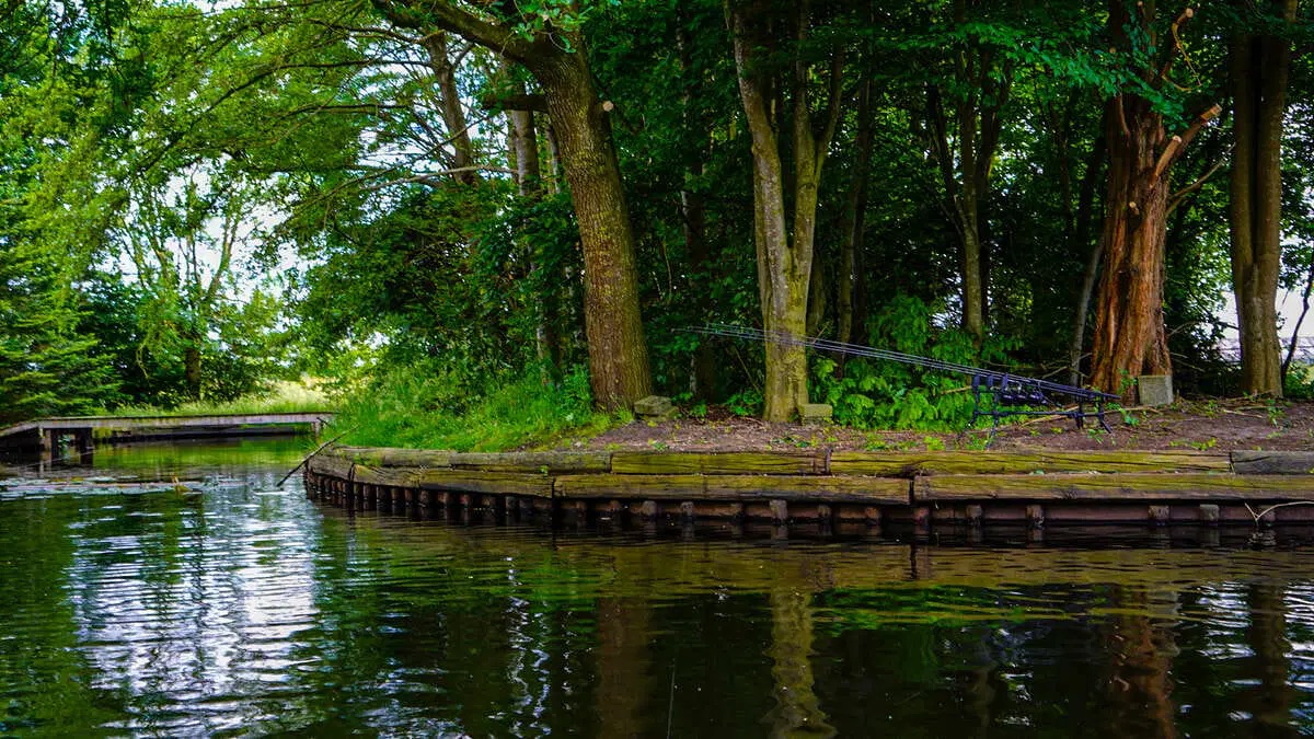 carp-lake-rosmalen-sfeer