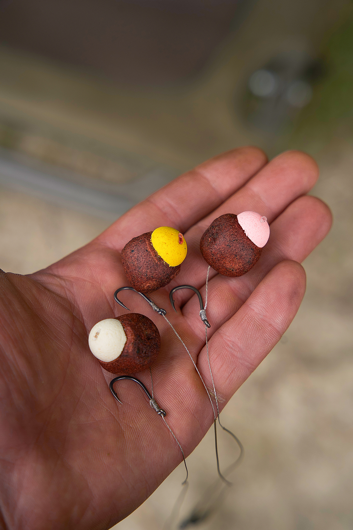 Leber-Boilies mit halbierten Pop Ups als Farbakzent brachten die Bisse. Boilies mit halbierten bunten Pop Ups als Farbakzent.