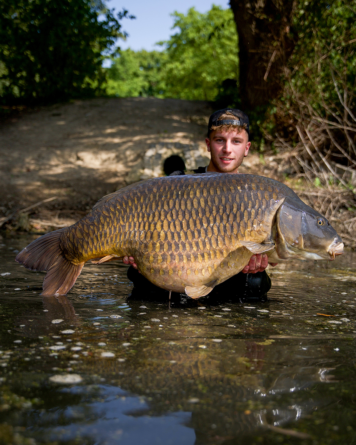 Wie krass ist dieser Fisch bitte? Gebt euch das Brett von Schuppenkarpfen! Moritz Sasse mit riesigem grauen Schuppenkarpfen.