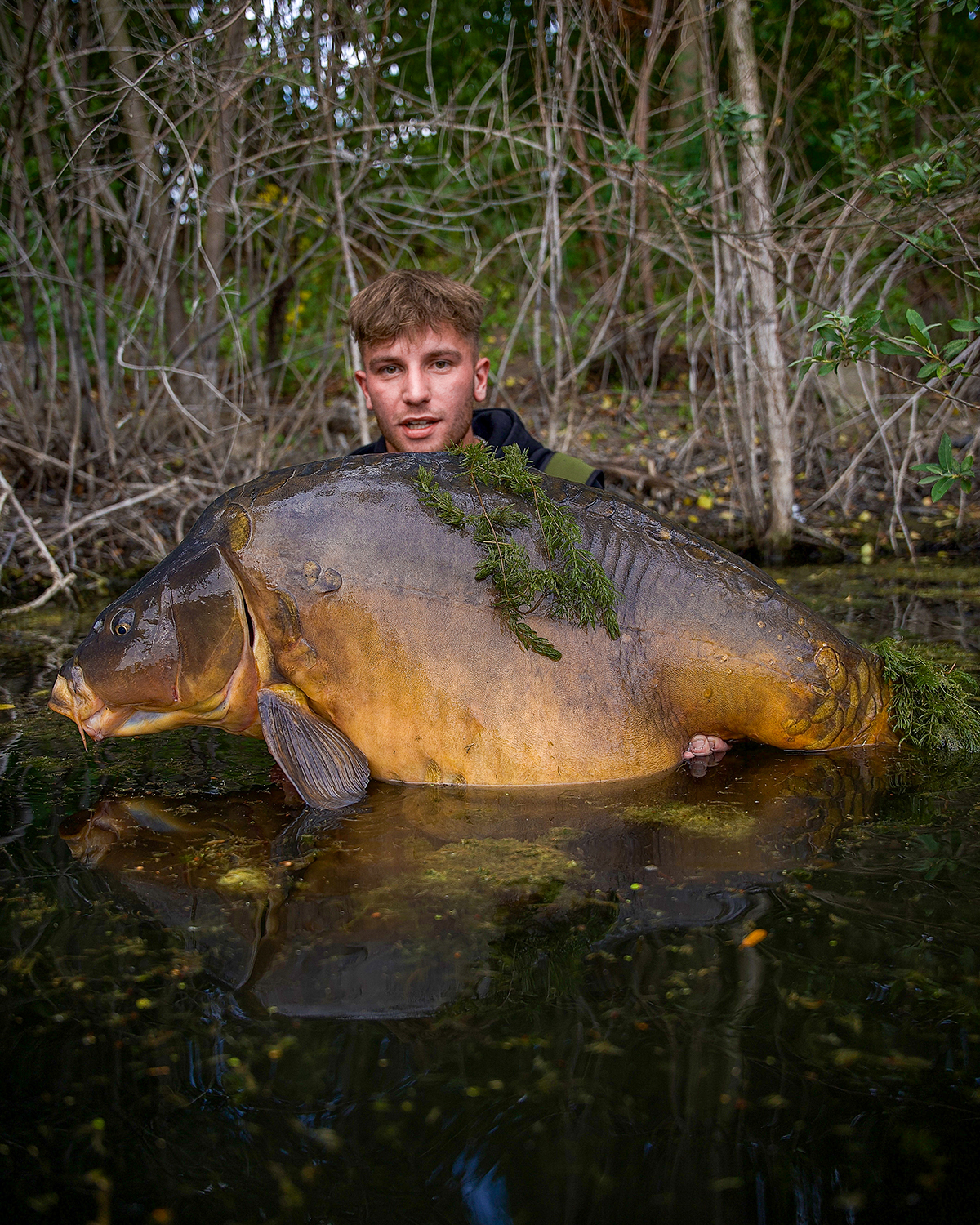 Fetter Spiegler, auch der ist über 30kg schwer. Moritz Sasse mit über 30kg schwerem Spiegelkarpfen.