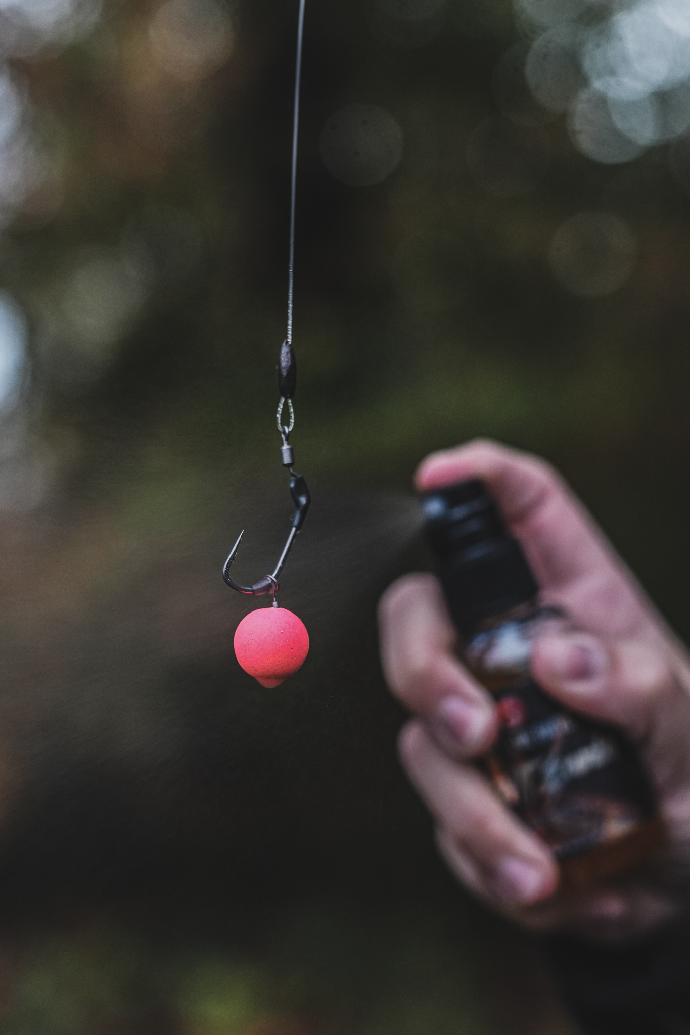 foto-031125-15-12-42