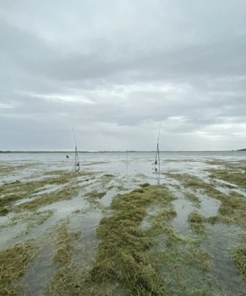 hanikel_story_orient_7_0