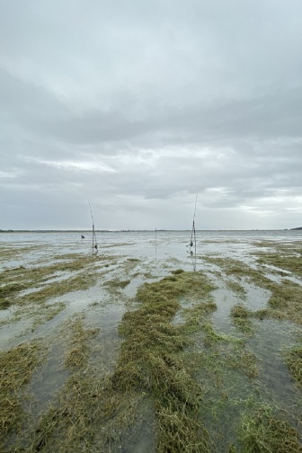 hanikel_story_orient_7_0