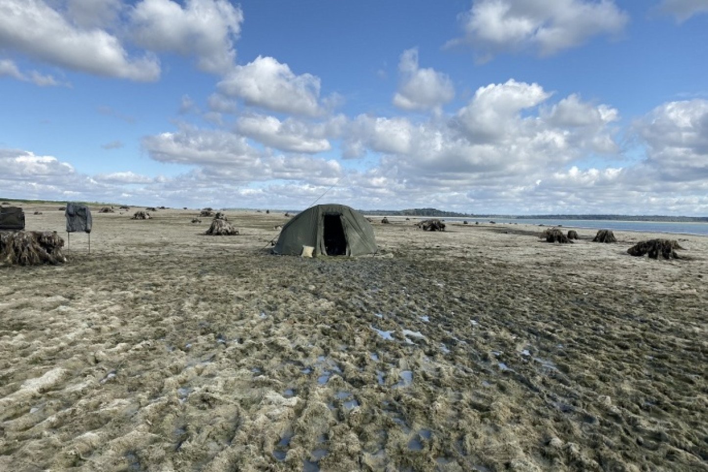 hanikel_story_orient_9_0