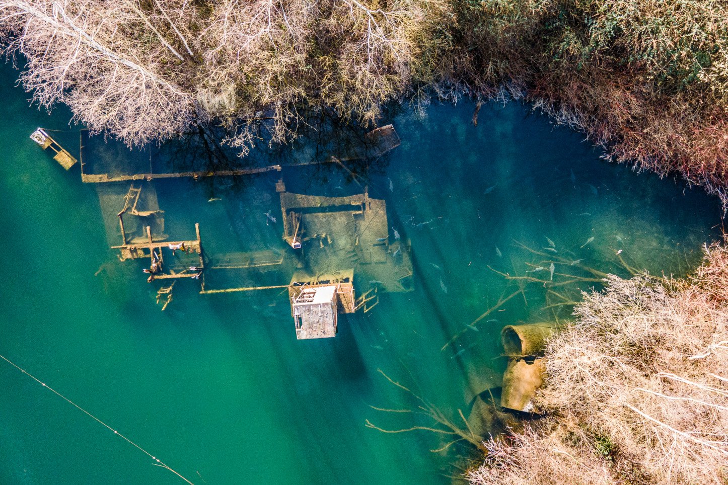 Versunkener Bagger und Karpfen im Flachwasser.
