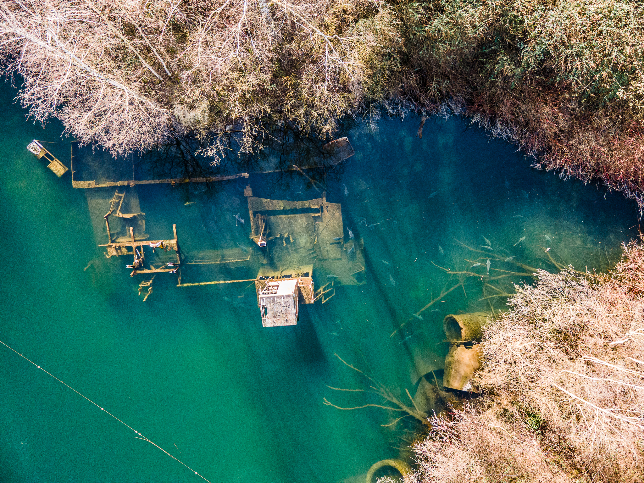 Versunkener Bagger und Karpfen im Flachwasser.