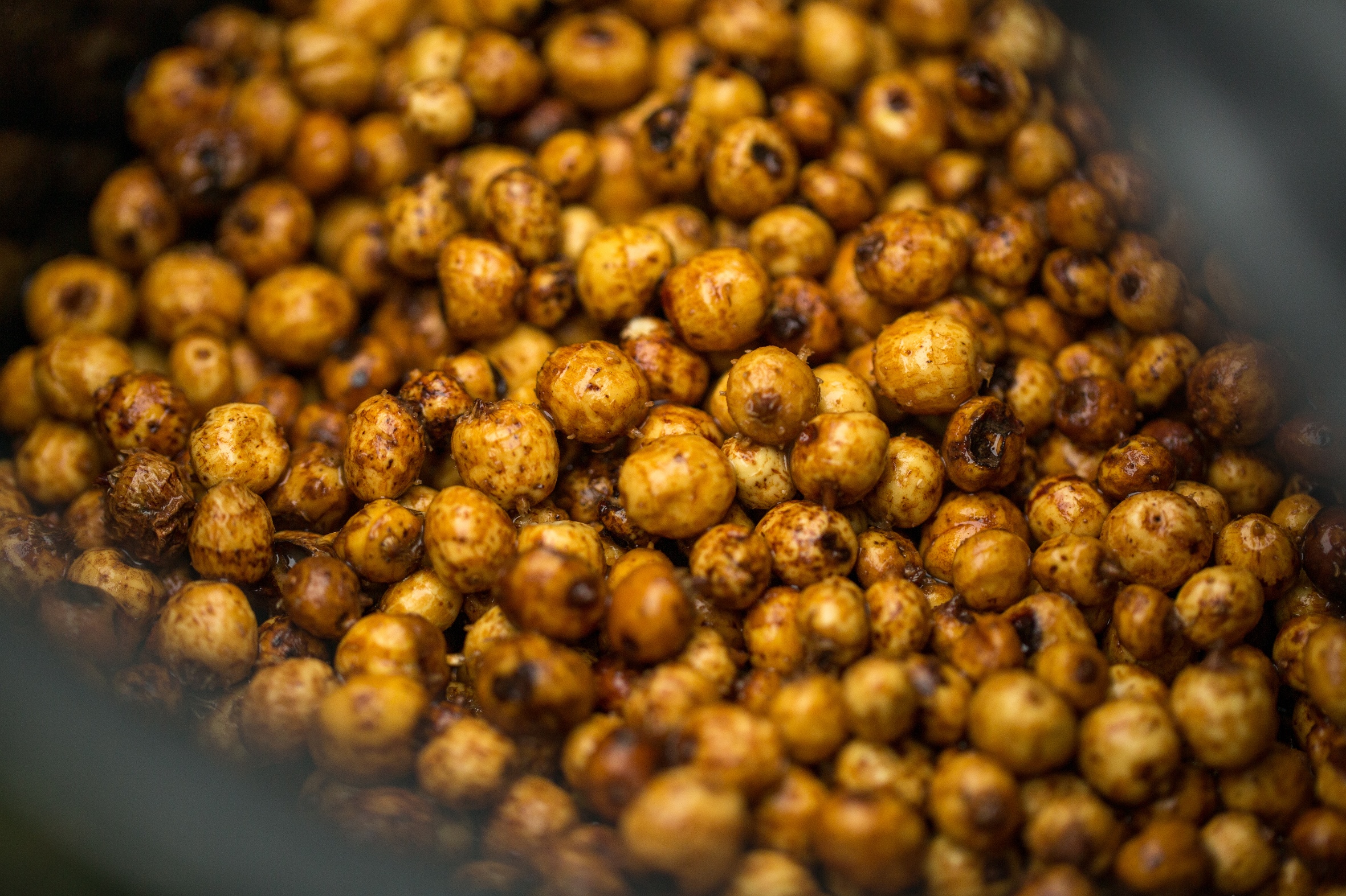 Gekochte Tigernüsse zum Angeln. 