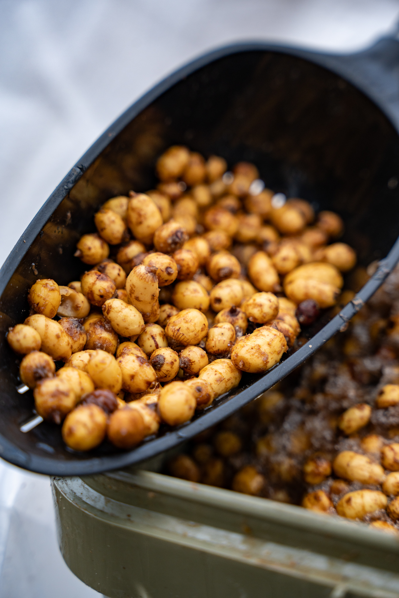 Gekochte Tigernüsse in einer Futterkelle.