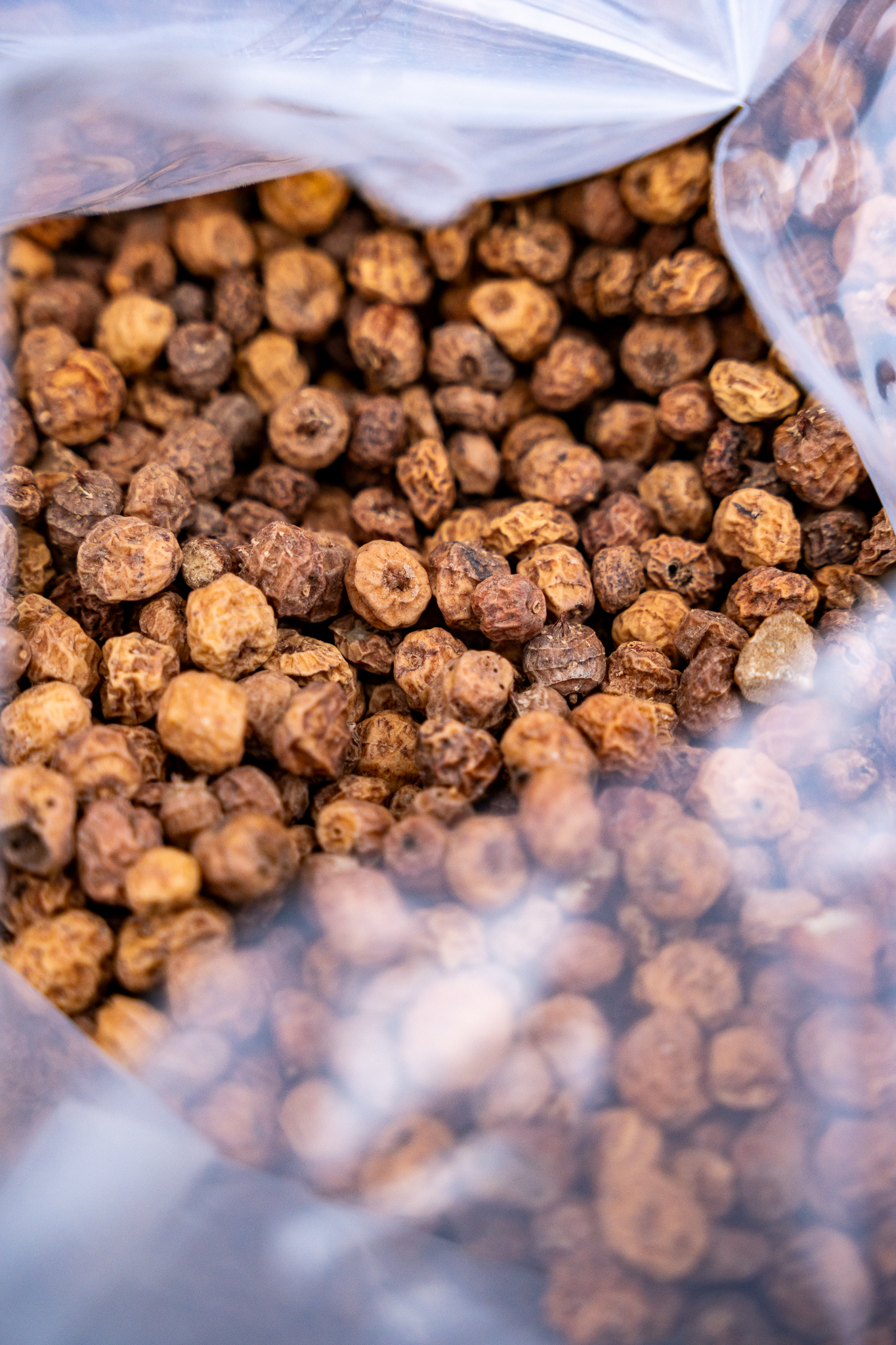 Tigernüsse vakuumverpackt in verschiedenen Größen bei Carpline24.