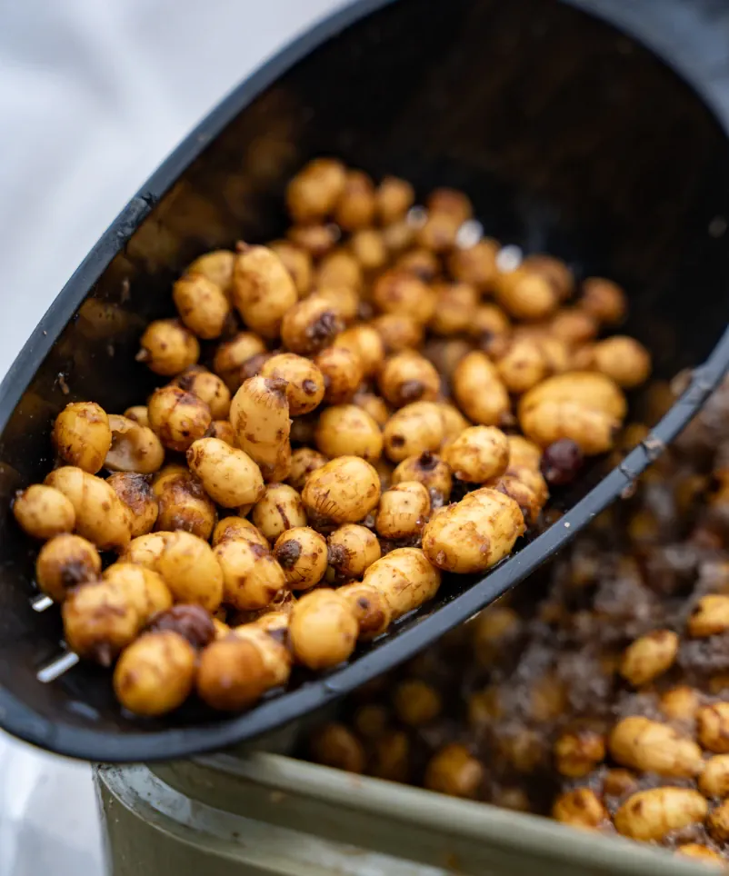 Gekochte Tigernüsse in einer Futterkelle.