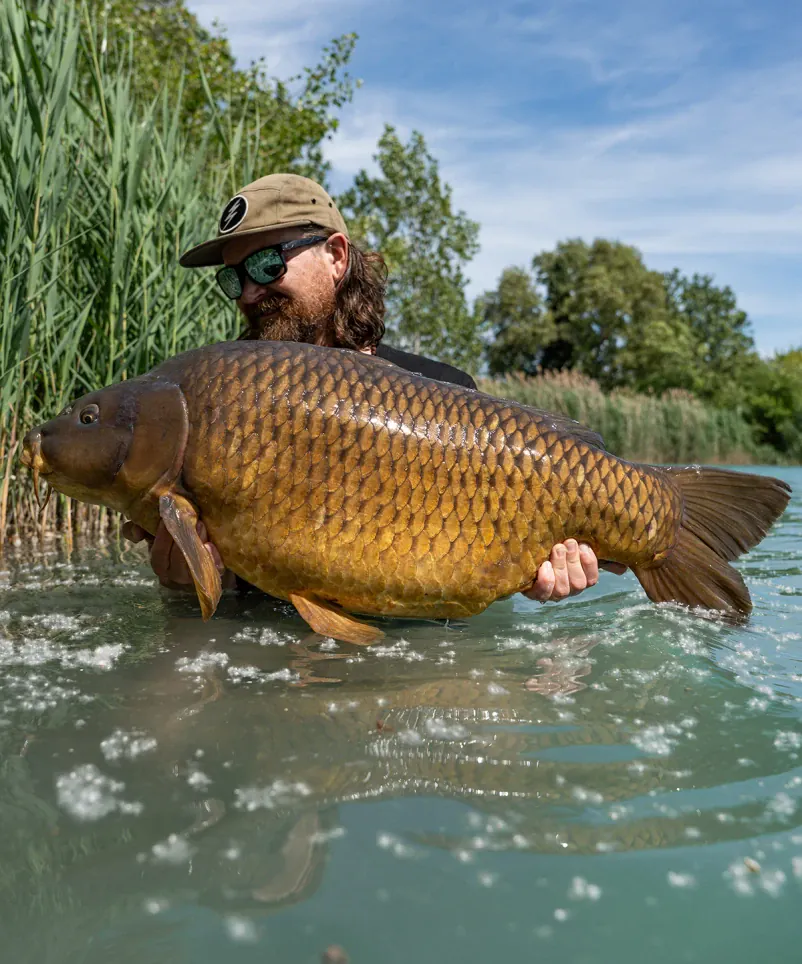Mark Dörner mit großem Schuppenkarpfen.