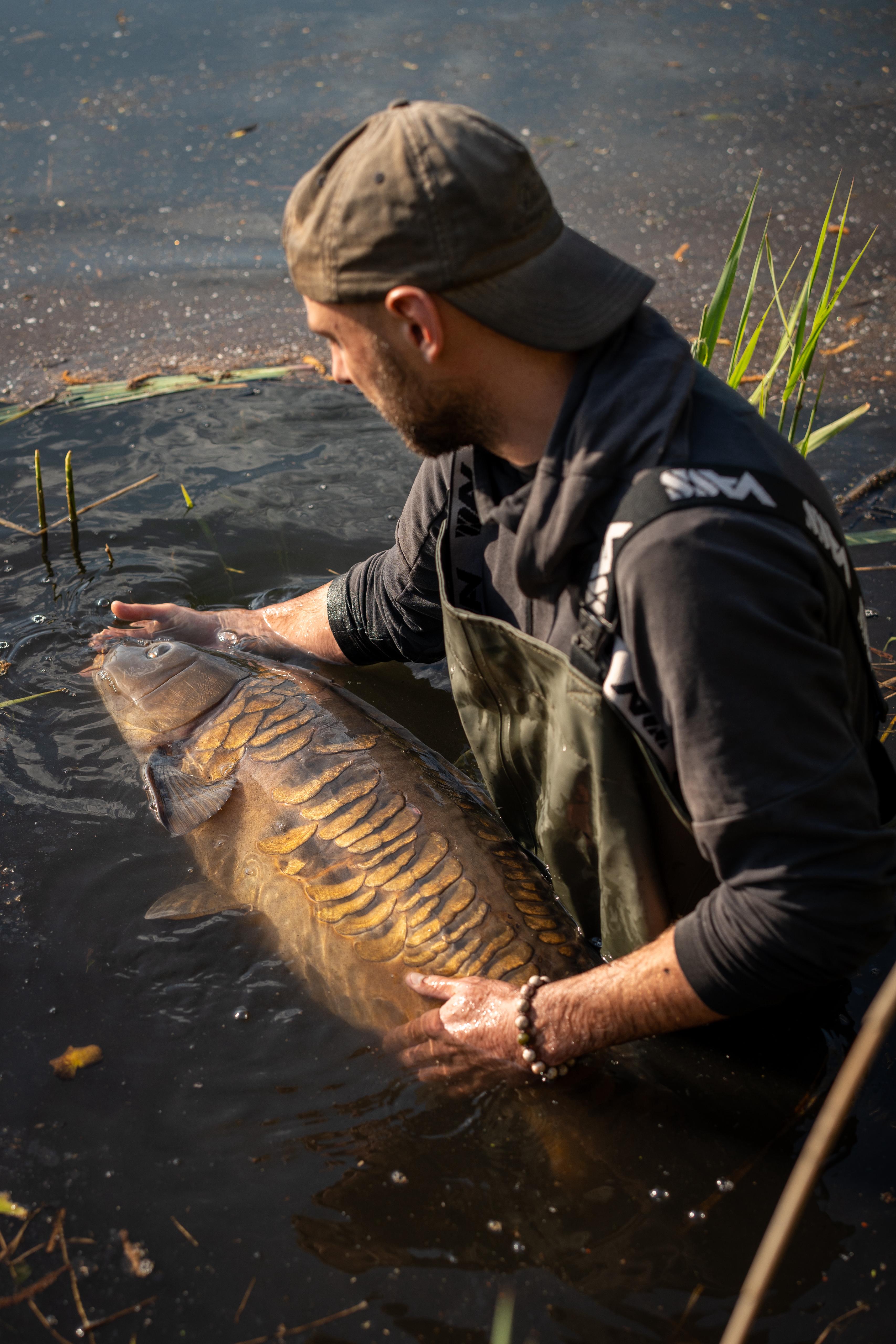 Wunderschöner Zeilenkarpfen für Supreme Baits Teamangler Nico Brocher.