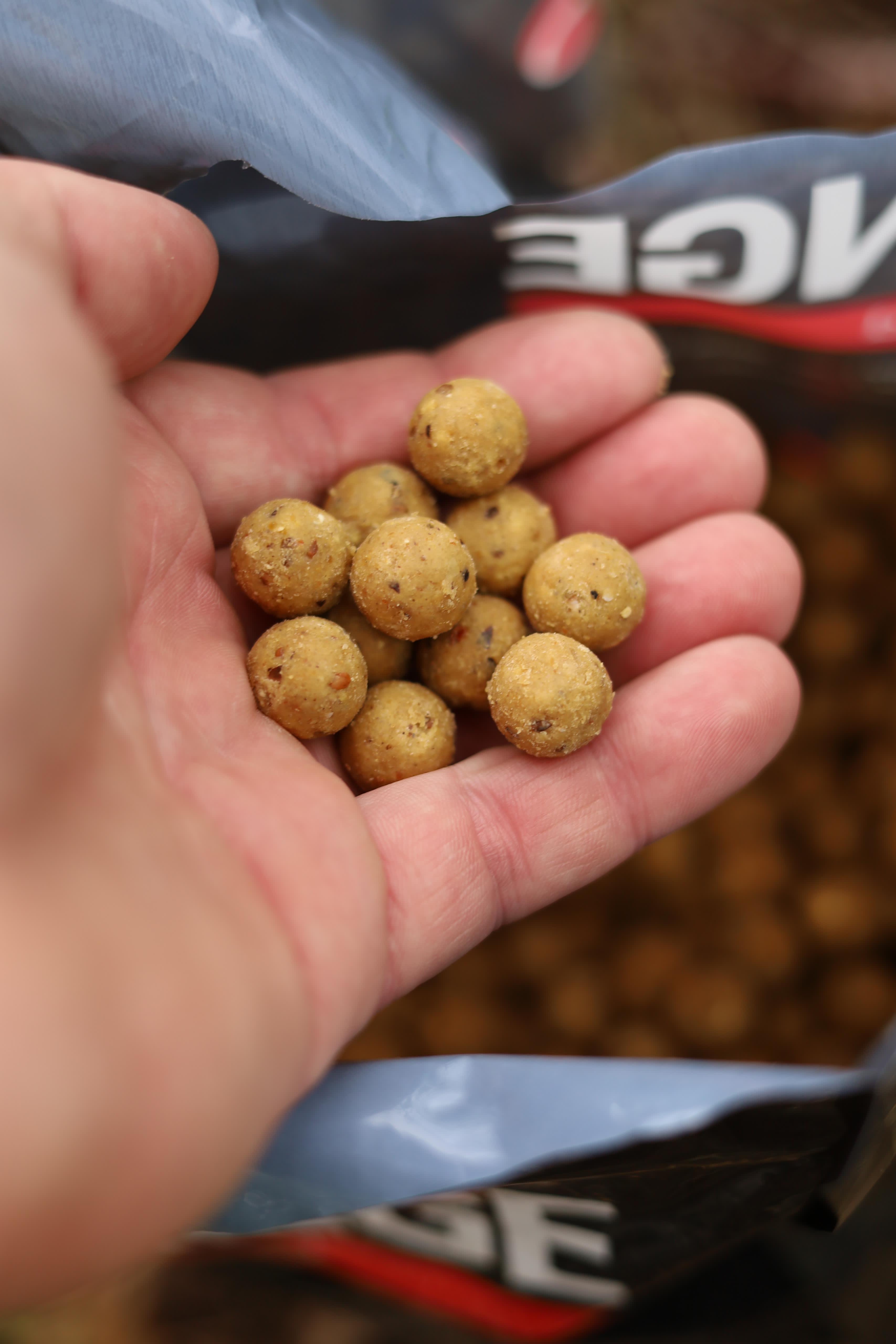 Supreme Baits SupZym+ SupZamba Boilies in der Hand.
