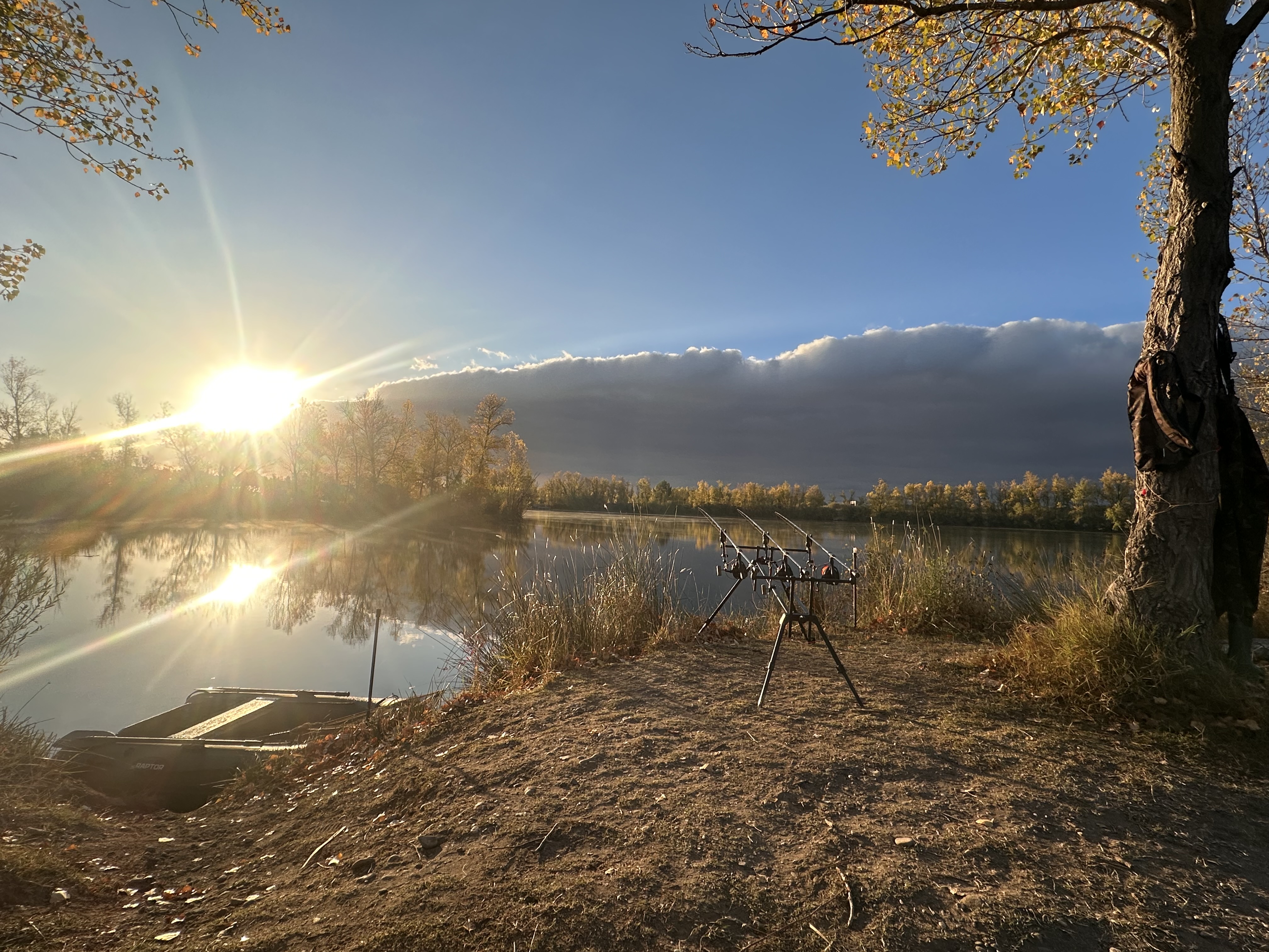 Ruten im Sonnenaufgang