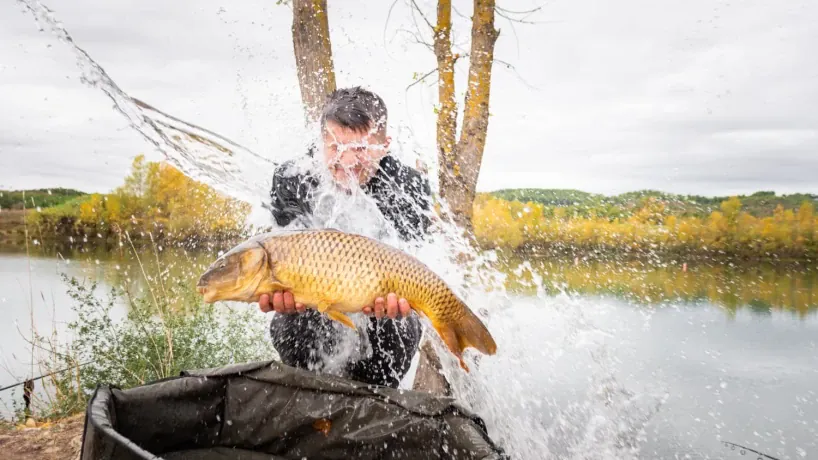 Thomas Bachmann mit Karpfen. 