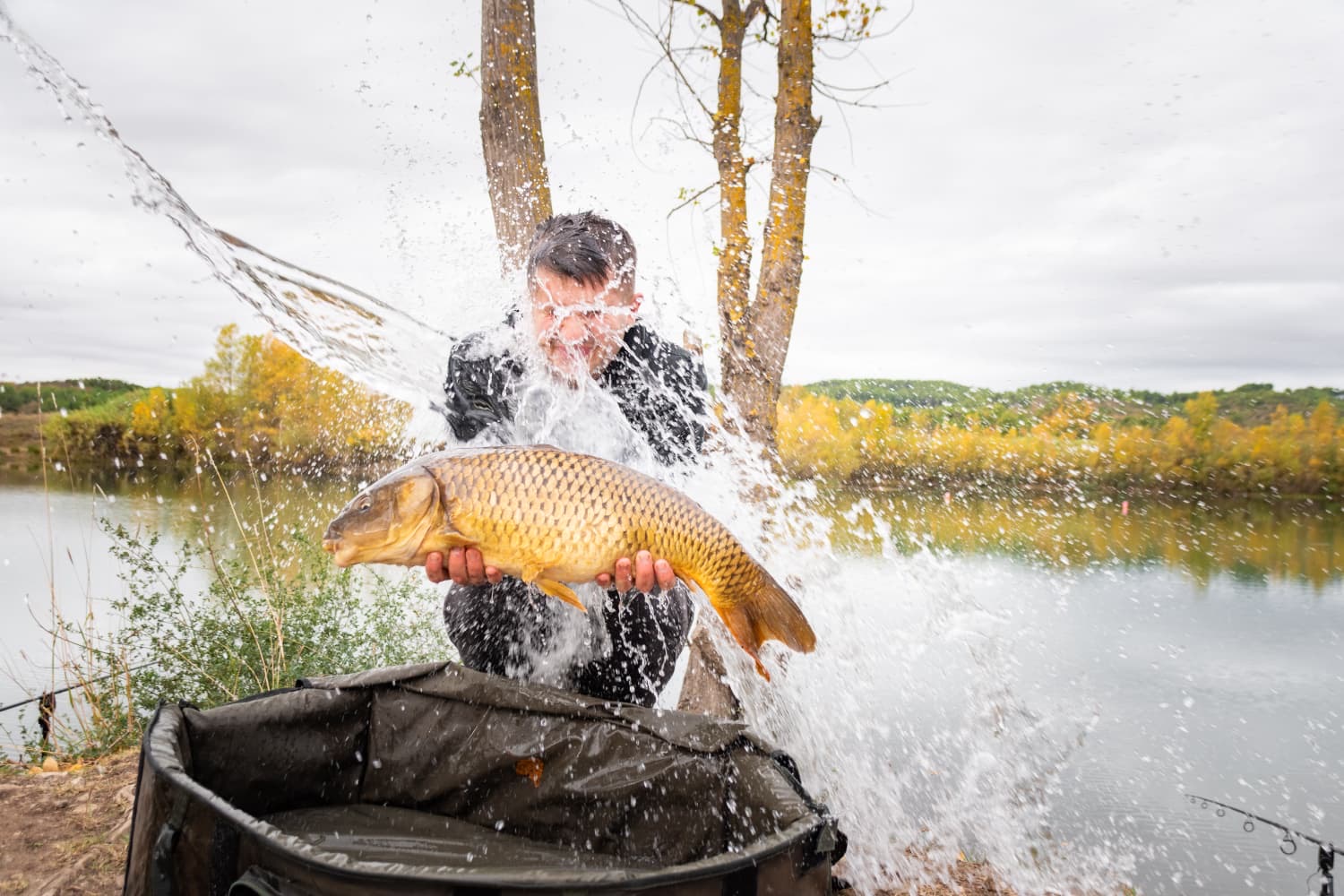 Thomas Bachmann mit Karpfen. 