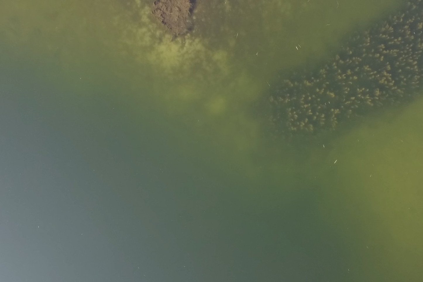 Drohne über dem See