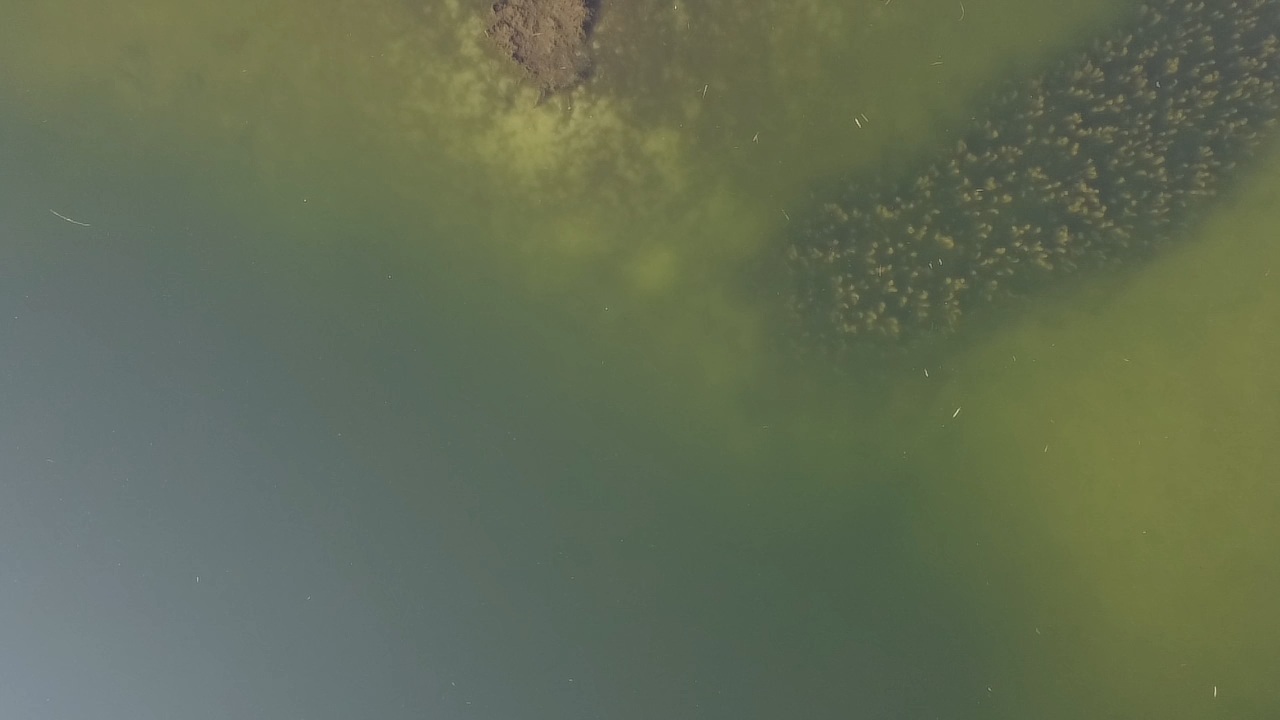 Drohne über dem See