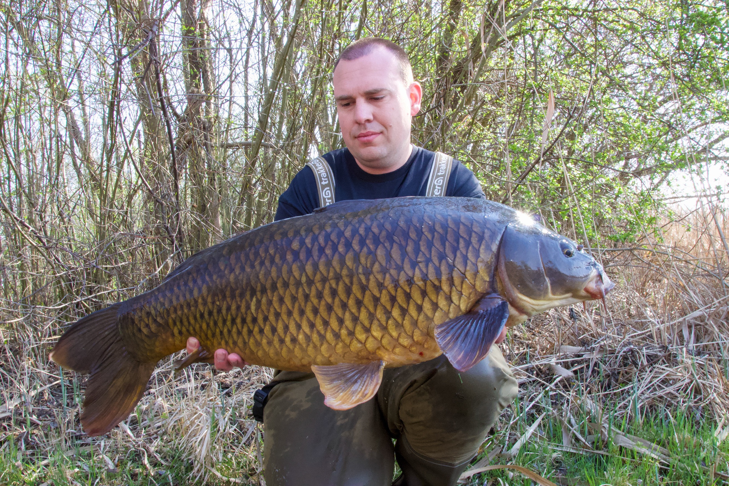 Thomas Baumann mit Schuppenkarpfen