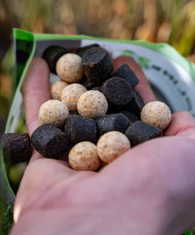 Carpline24 Black White Halibut Mix in einer Hand. 