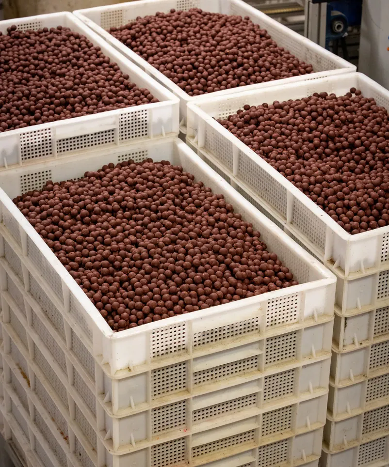 Maximumbaits Boilieproduktion. 