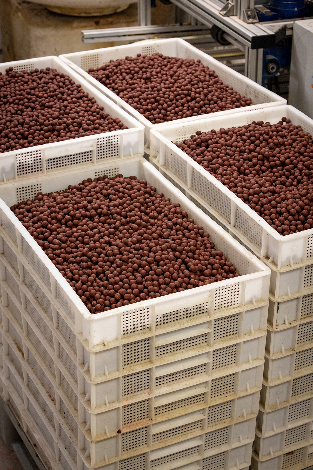 Maximumbaits Boilieproduktion. 