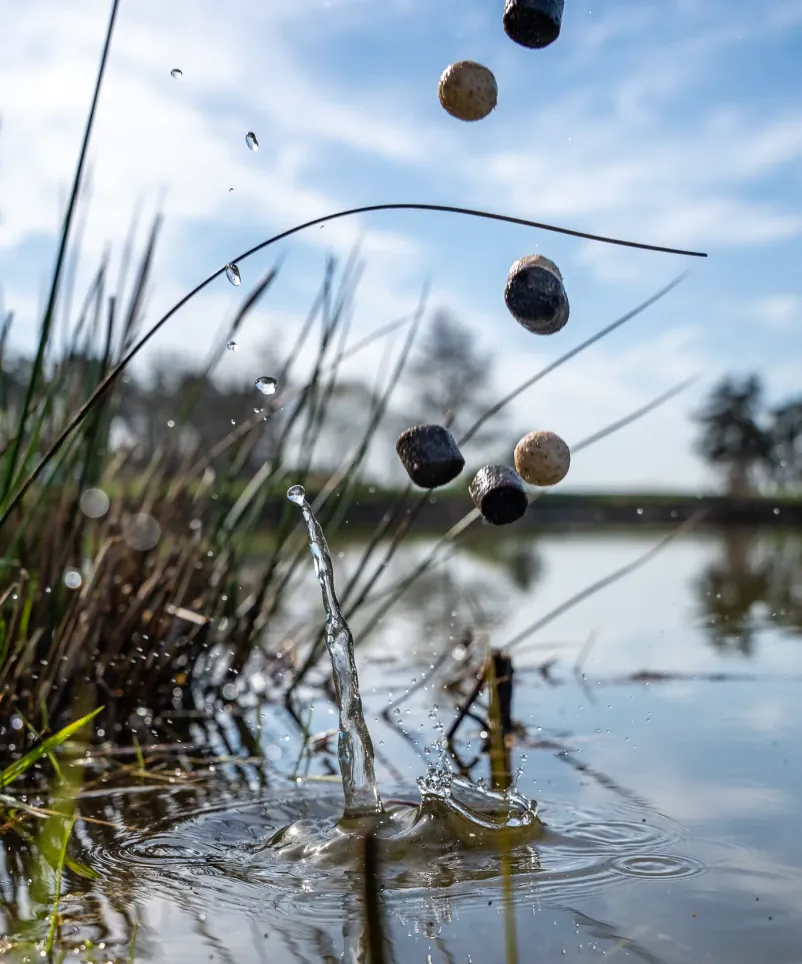 Carpline24 Black White Halibut Mix im Wasser.