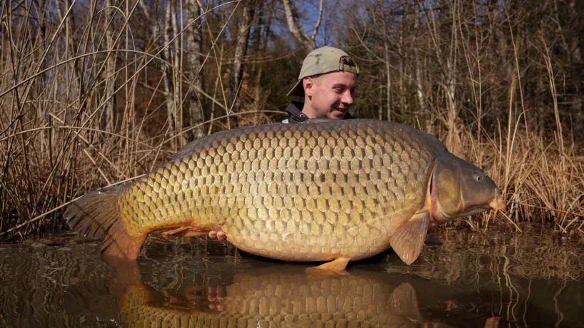 Angler mit Karpfen
