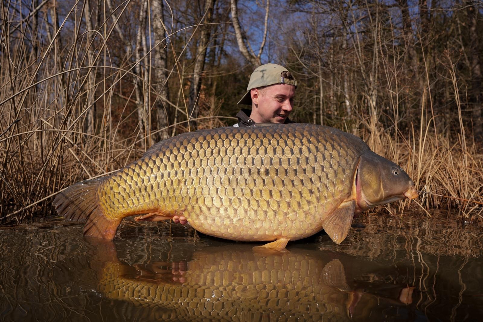 Angler mit Karpfen
