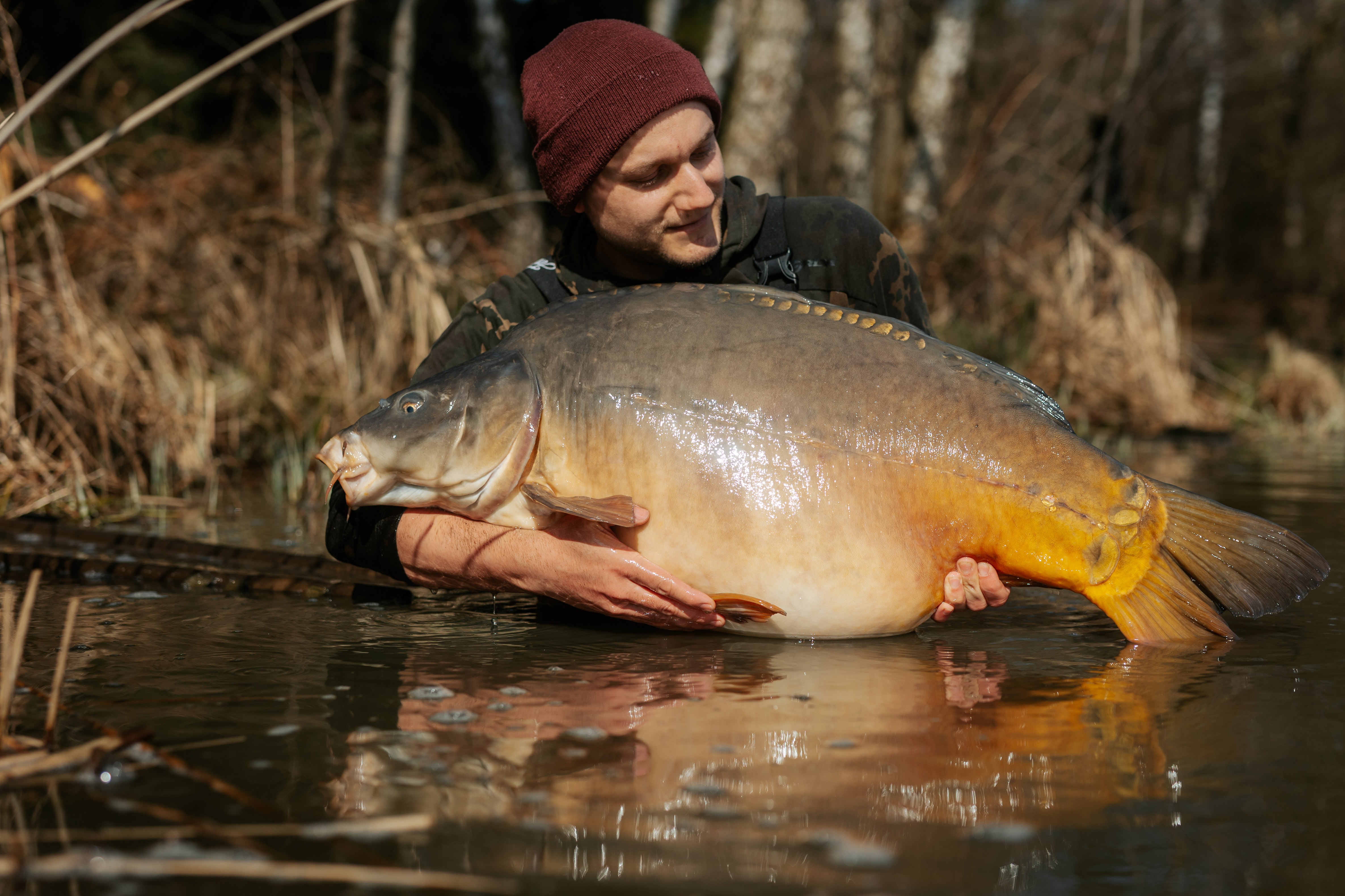 Angler mit Karpfen