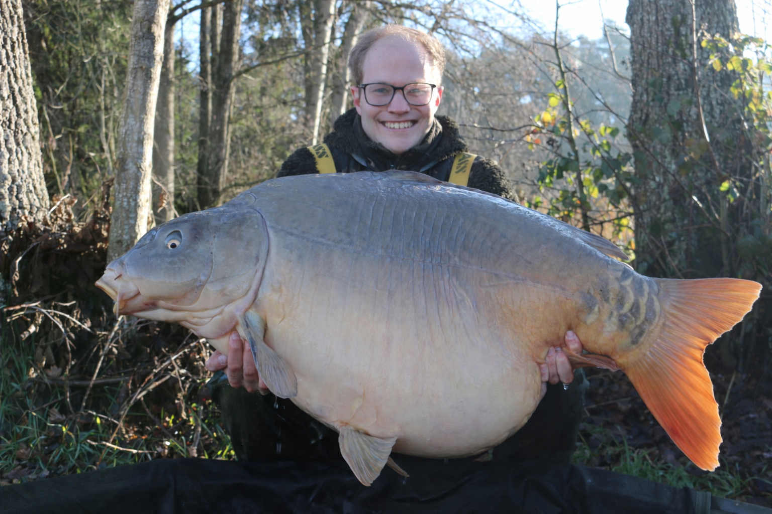 Angler mit großem Spiegelkarpfen