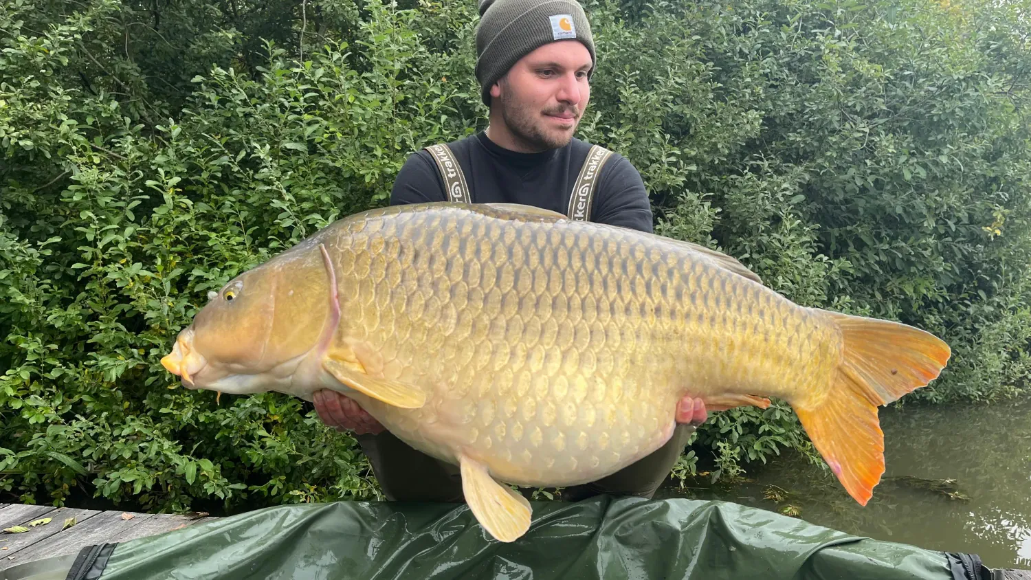 Angler mit großem Schuppenkarpfen 