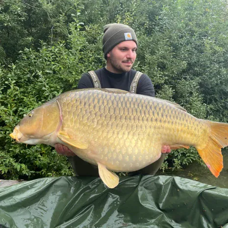 Angler mit großem Schuppenkarpfen 