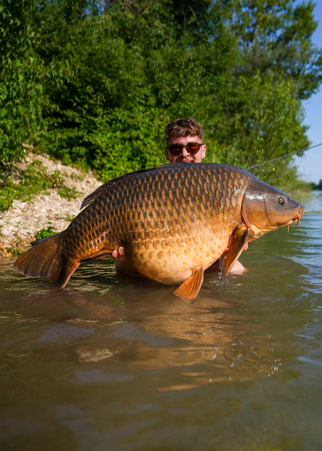 Riesiger Schuppenkarpfen aus dem Maniac Lake. 