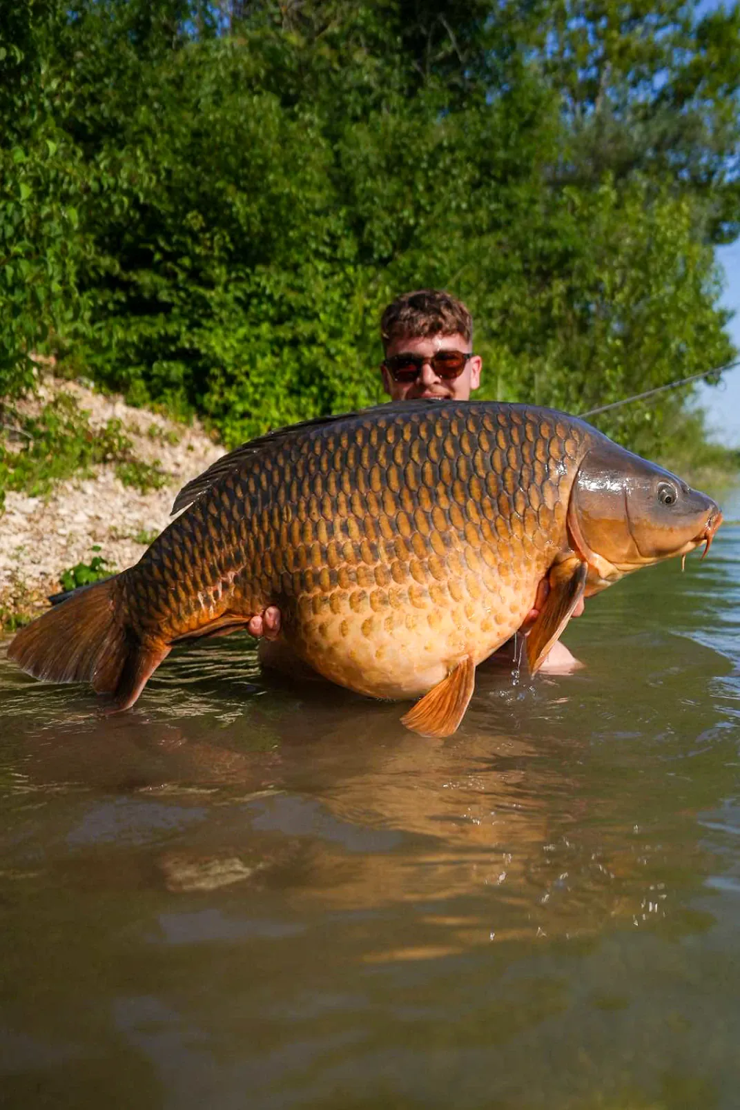Riesiger Schuppenkarpfen aus dem Maniac Lake. 