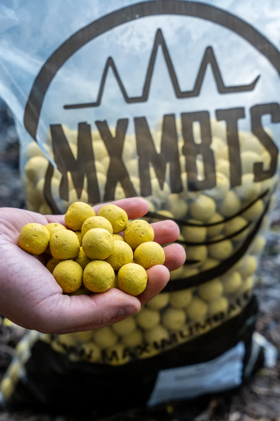 Maximumbaits Twister Boilies in der Hand.