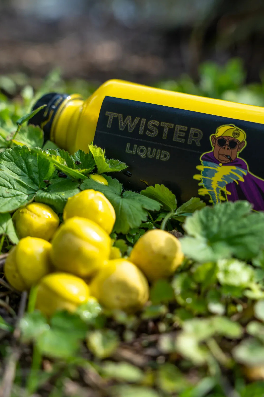 Maximumbaits Twister Liquid und Boilies.
