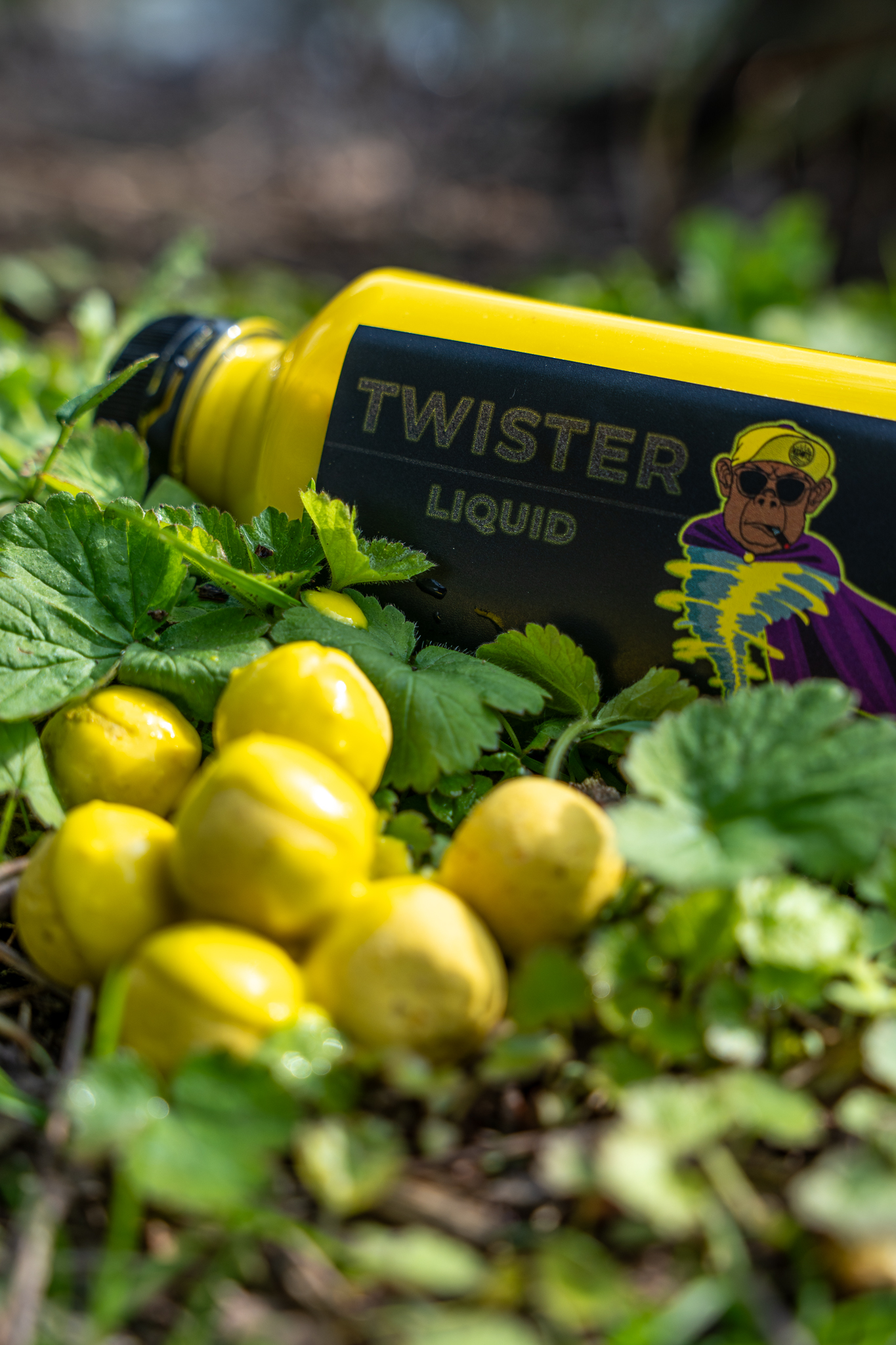 Maximumbaits Twister Liquid und Boilies.