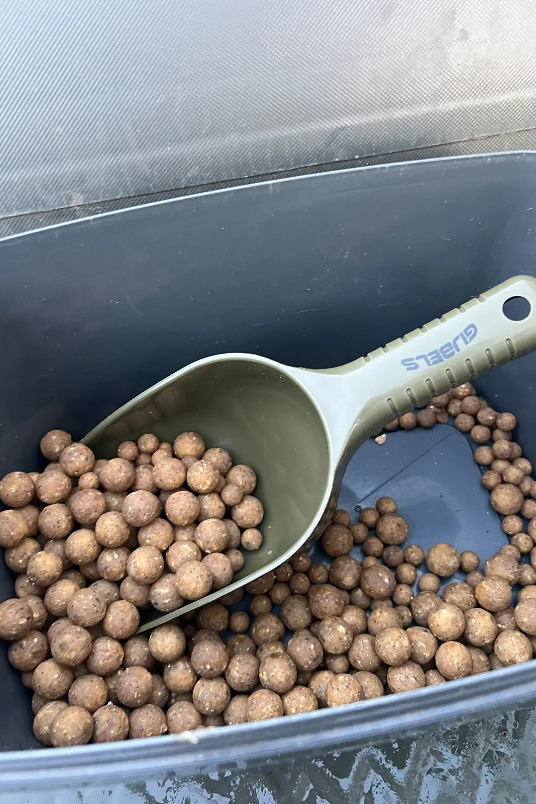 Boilies im Eimer 