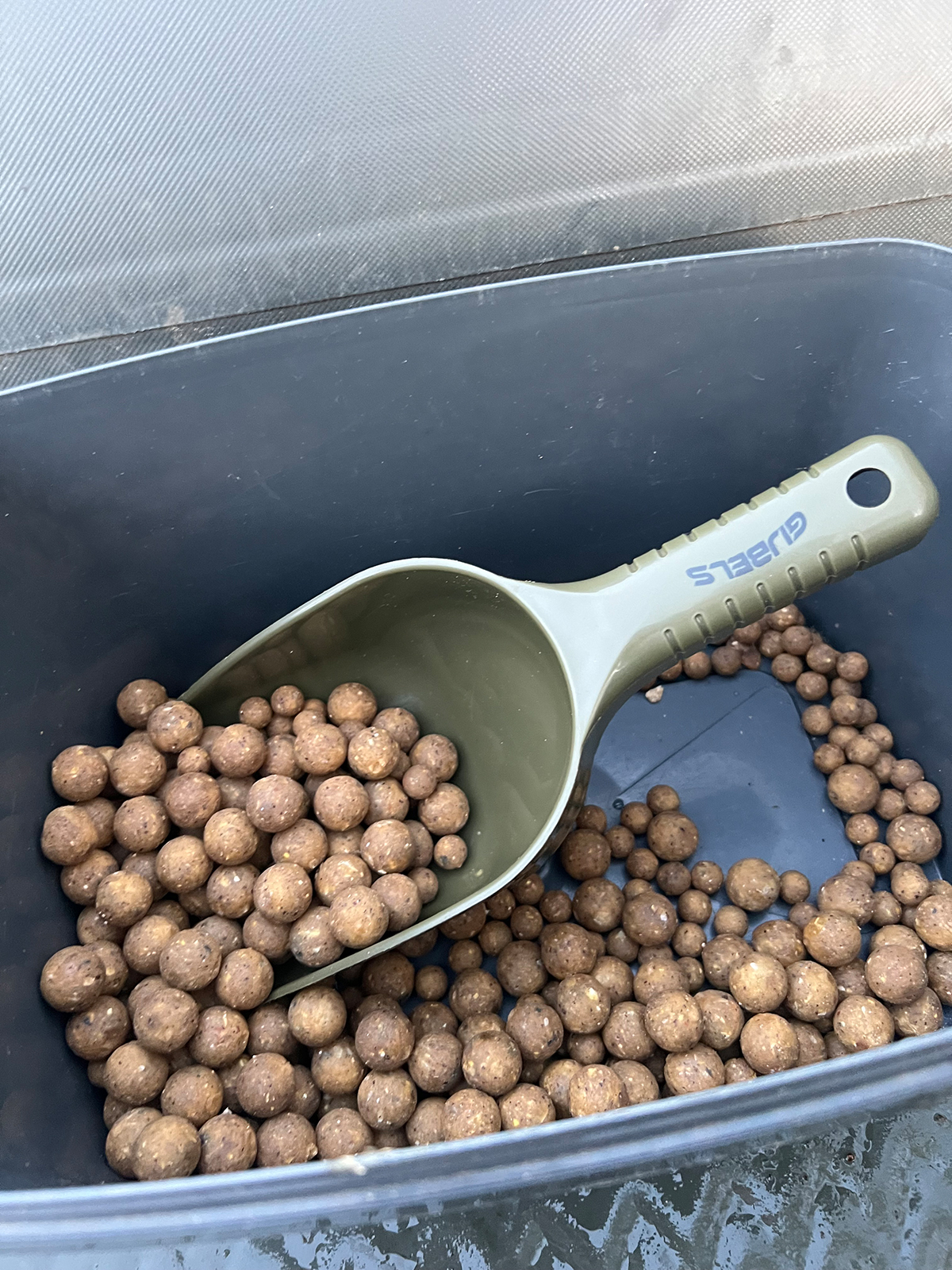 Boilies im Eimer 