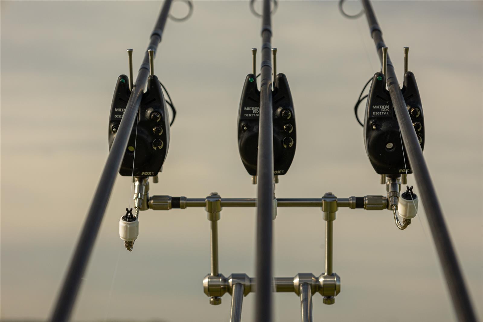 Solar Tackle P1 Euro Universal Pod mit drei Ruten.