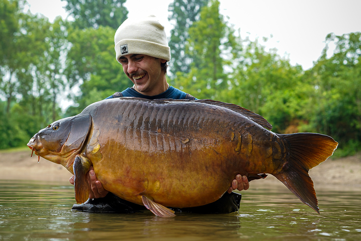 Ben Germann von Supreme Baits mit einem riesigen Spiegelkarpfen von über 30kg. 