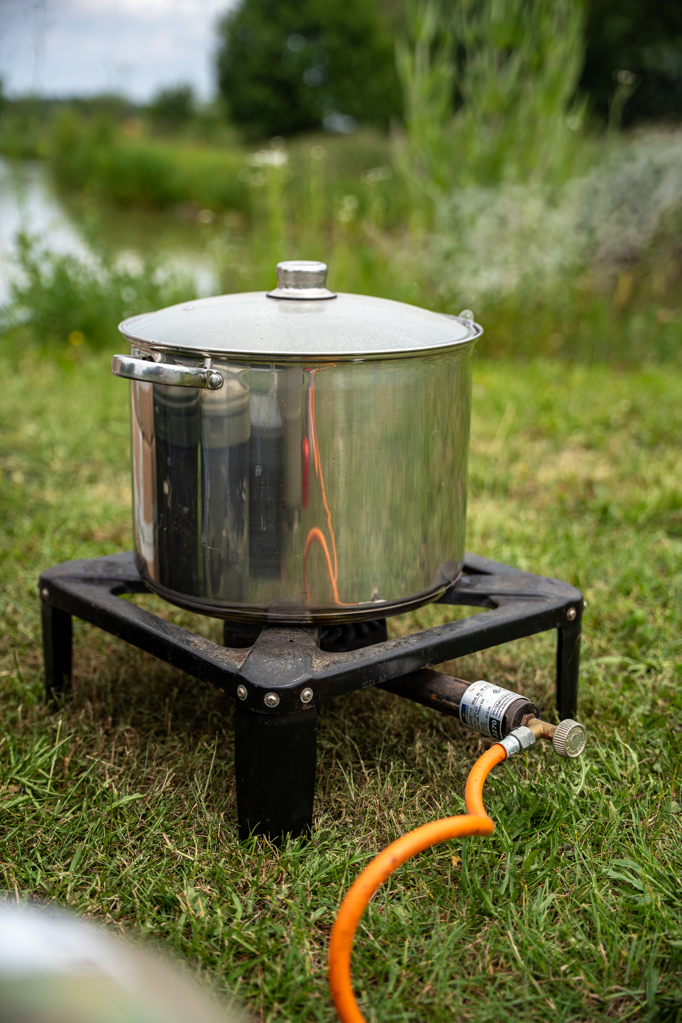 Partikel zum Karpfenangeln kochen. 