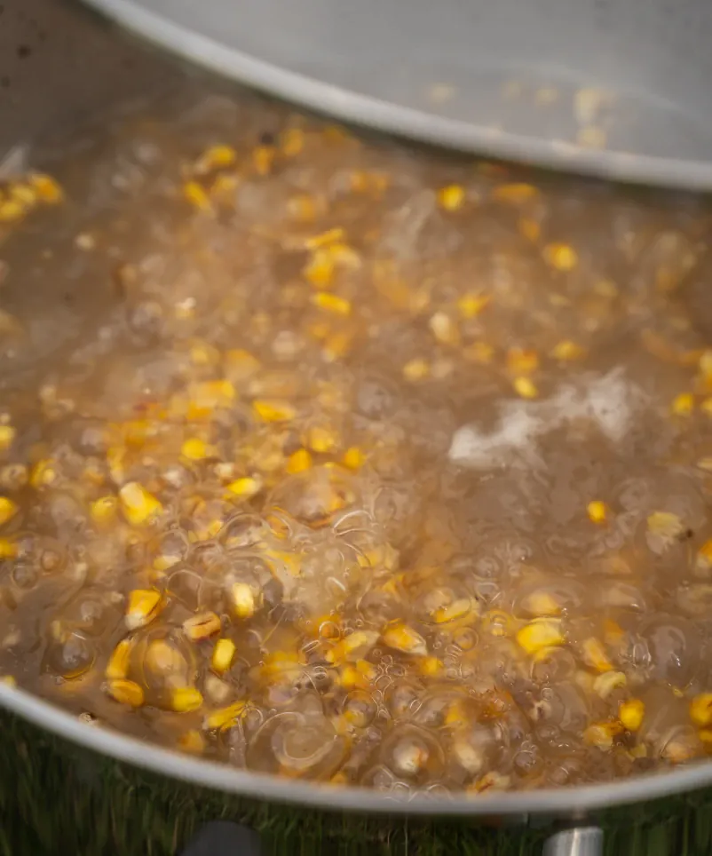 Mais zum Karpfenangeln kochen. 