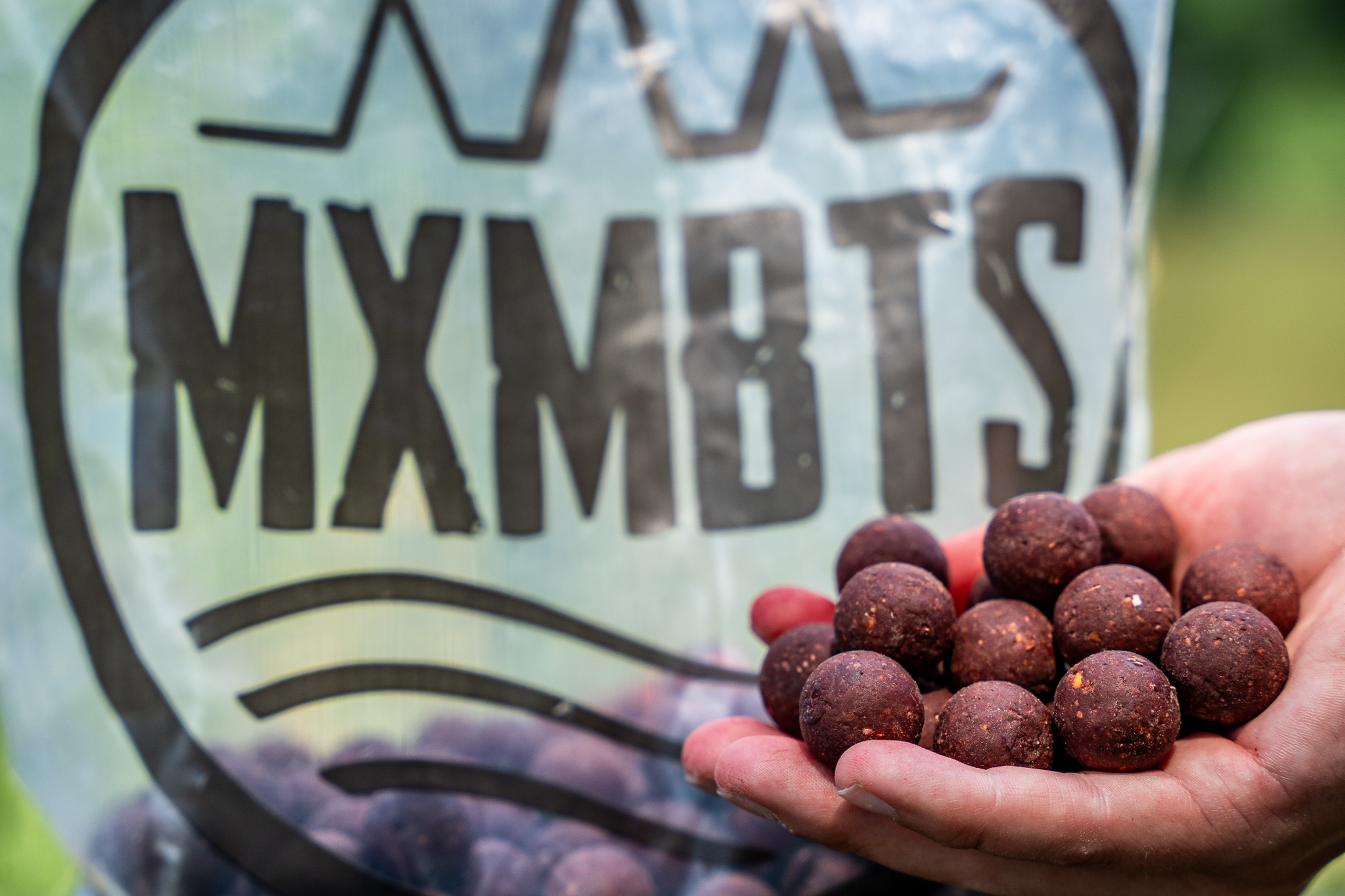 Maximumbaits Sweet Squid Boilies in einer Hand. 