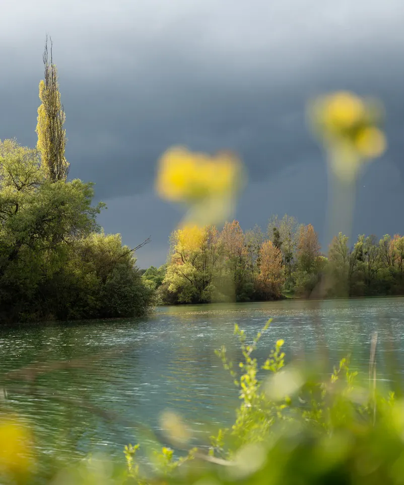 Regnerisches Wetter an französischem Baggersee.